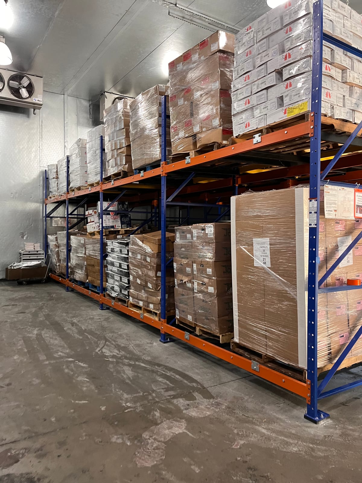 Two-level push-back racking loaded with palletized frozen product in a freezer warehouse